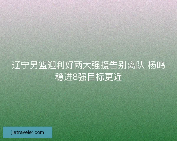 辽宁男篮迎利好两大强援告别离队 杨鸣稳进8强目标更近