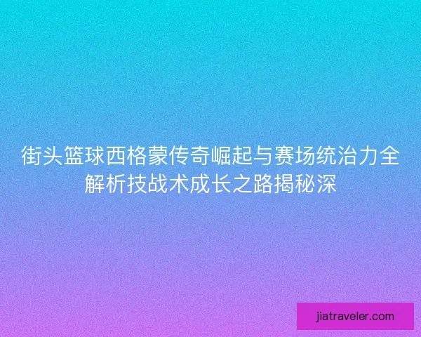 街头篮球西格蒙传奇崛起与赛场统治力全解析技战术成长之路揭秘深