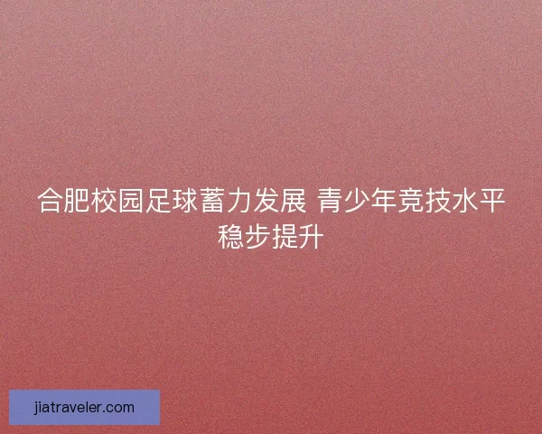 合肥校园足球蓄力发展 青少年竞技水平稳步提升