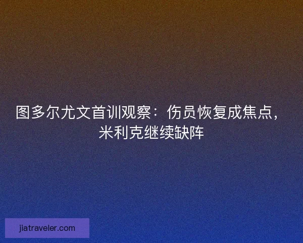图多尔尤文首训观察：伤员恢复成焦点，米利克继续缺阵